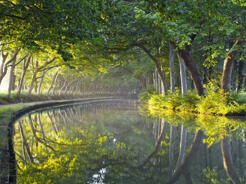 Croisière romantique sur le Canal du Midi