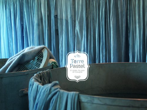 Terre de Pastel : Muséum du Pastel