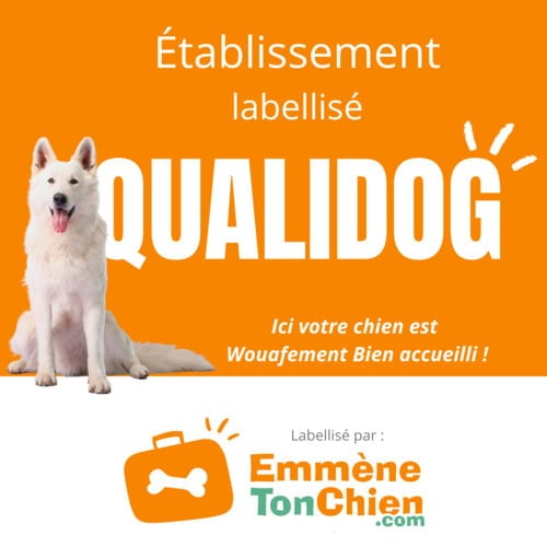 Qualidog logo