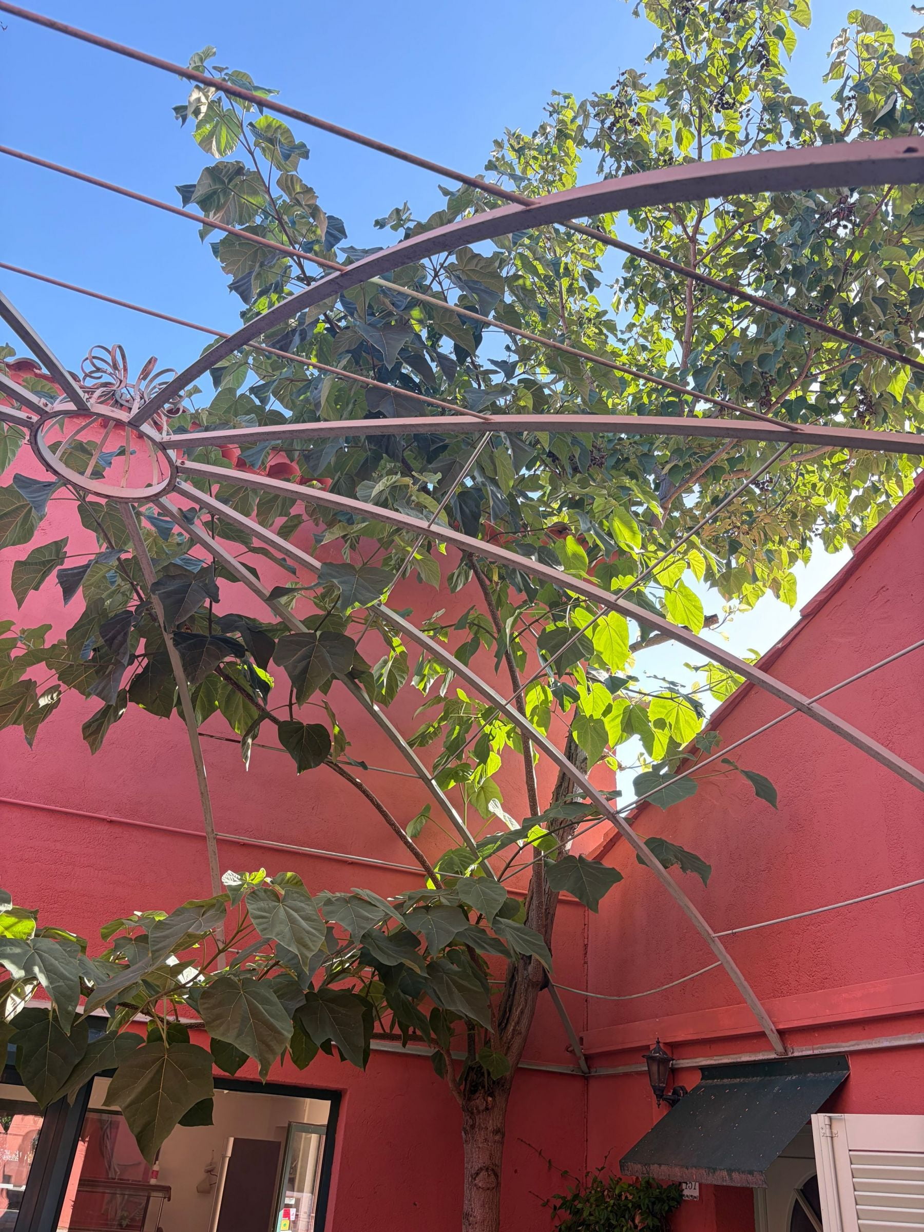 pergola
