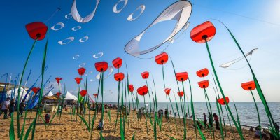 International Kite and Wind Festival