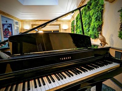 PXL 20230609 155819024 2