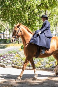 napoleon 3 vichy costume 24 200x300