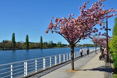 balades riviere Allier