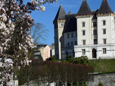 National Museum and the Château de Pau