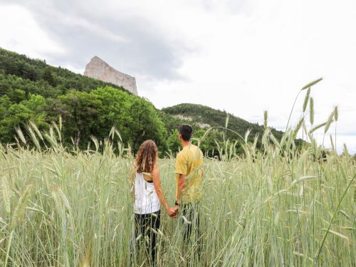 Meilleurs tarifs et conditions en direct