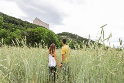 Meilleurs tarifs et conditions en direct