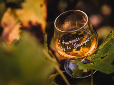 4. Armagnac and vineyard