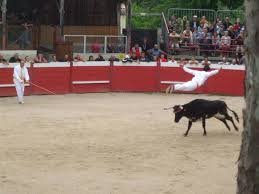 COURSE LANDAISE