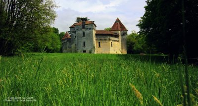 Photo de Perigueux chateau de caussade