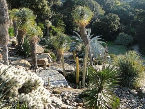 Le Jardin du Rayol