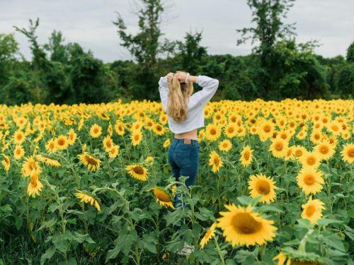Meilleurs tarifs et conditions en direct