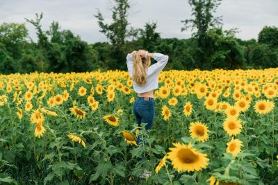Meilleurs tarifs et conditions en direct