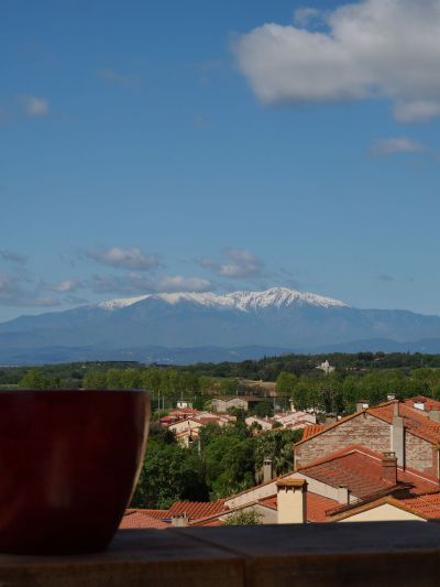 Cara sol Hotel restaurant a Elne 21