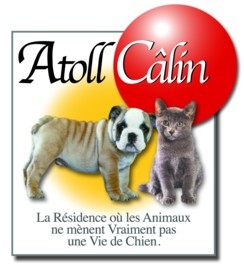 Des idées pour faire garder votre animal de compagnie!