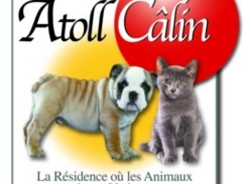 Des idées pour faire garder votre animal de compagnie!