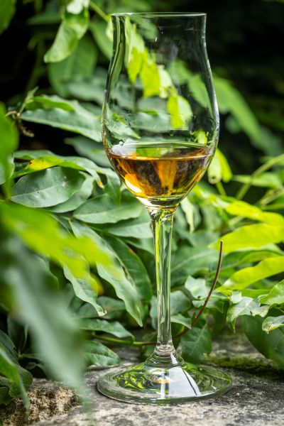 20250825 MIKA BOUDOT DSC 7246