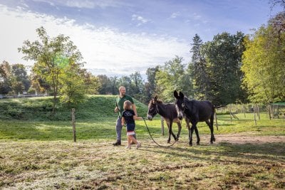 restarant avec potager permaculture 10 1