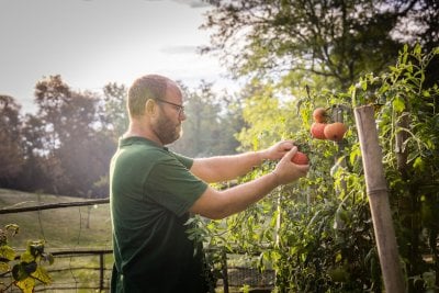 restarant avec potager permaculture 6 1