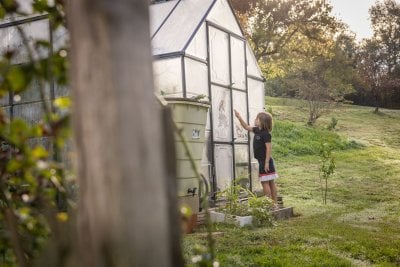 restarant avec potager permaculture 9 1