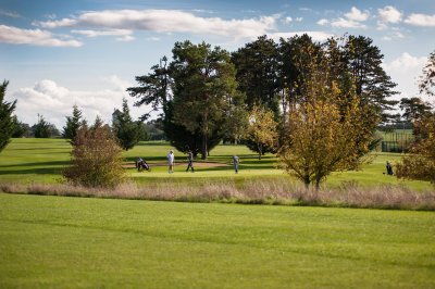 Golf Public du Nivernais Golfeurs Green Putting 