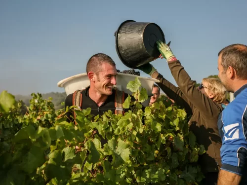 Week-End Terroir au Auvergne