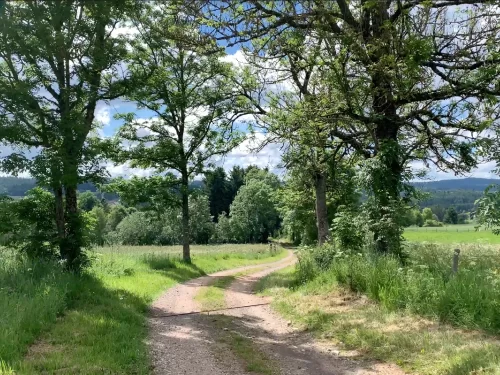 Le Livradois à vélo