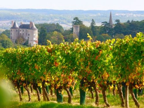 Les chais des Vignobles de Buzet