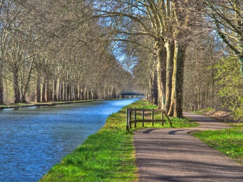 Take a stroll or a bike ride on the stunning river banks of Eschau