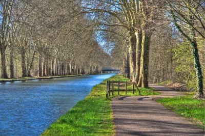 canal rhone rhin peche carpe de nuit illkirch bas rhin 1