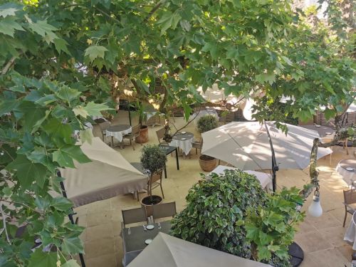 487386369 1228270315967691 8508681677423217912 n