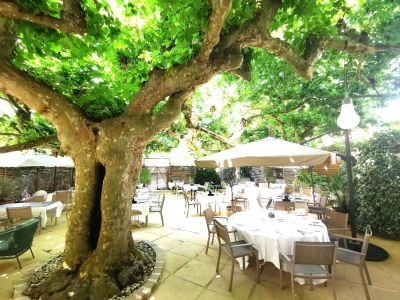 hotel restaurant gironde Maison Claude Darroze 29