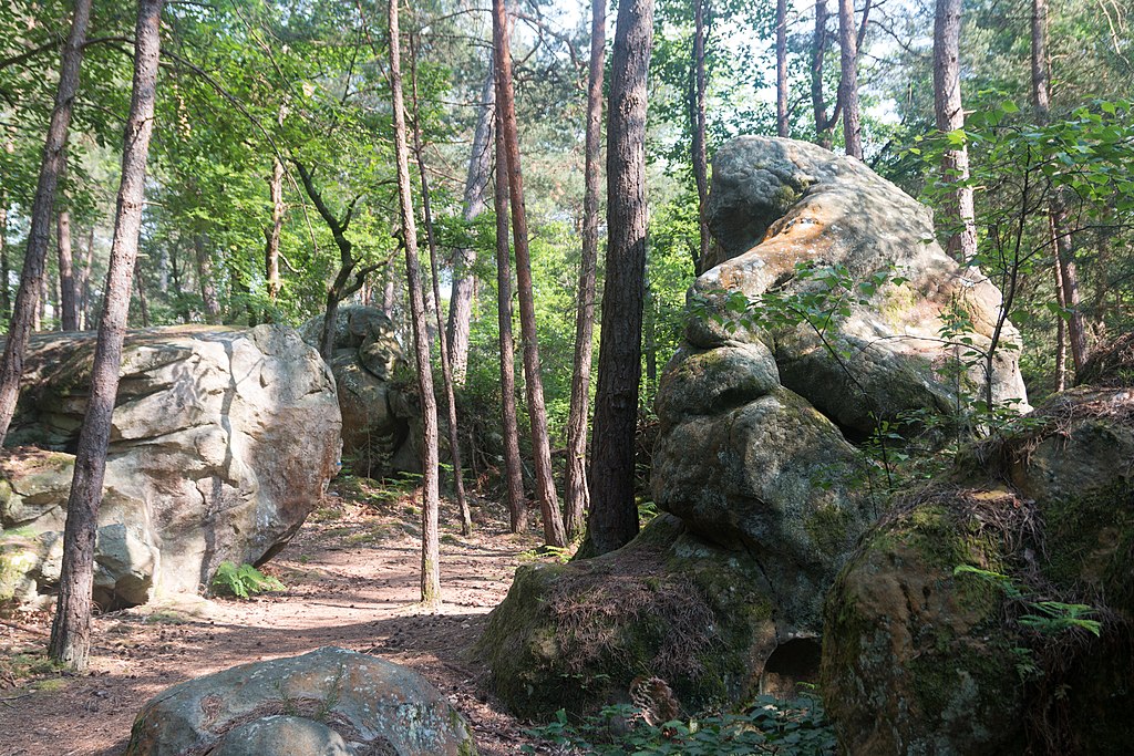 Fontainebleau Forest | Hôtel Design Booking