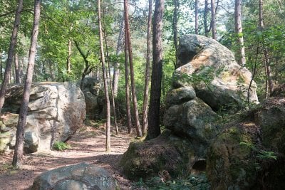 Foret de Fontainebleau Rochers du Mont Ussy 5 20180523