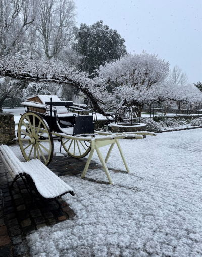 Célébrez la fin d'année en beauté au Domaine de Larchey