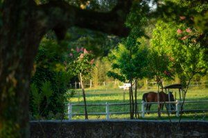 Hotel vignoble bordeaux Le domaine de Larchey 12 2 1