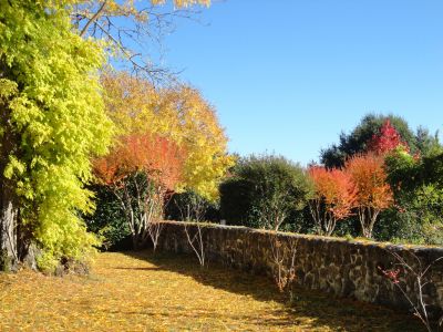 🌟 Profitez des vacances de la Toussaint au Domaine de Larchey, hôtel 3 étoiles de Saint-Médard-d’Eyrans : une halte idéale pour toute la famille 