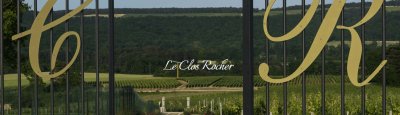 VIGNOBLE - CHAMPAGNE GREMILLET