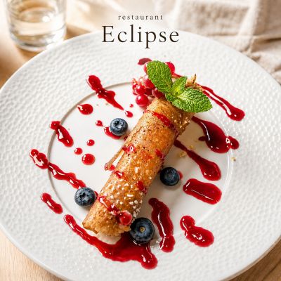 Eclipse hotel decines charpieu lyon 8