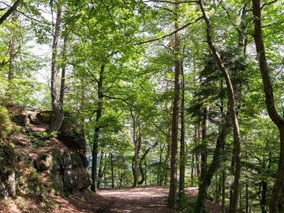 Balades et randonnées : A pieds, en famille, à vélo