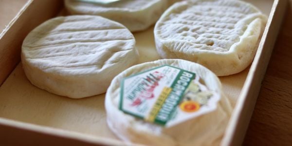 web21 fromage de rocamadour lot tourisme c asquier 2 1920x960 crop 1612273494