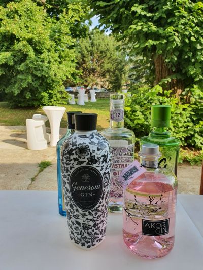 Chateau Fleur de Roques Puisseguin Hotel Saint Emilion 1 1