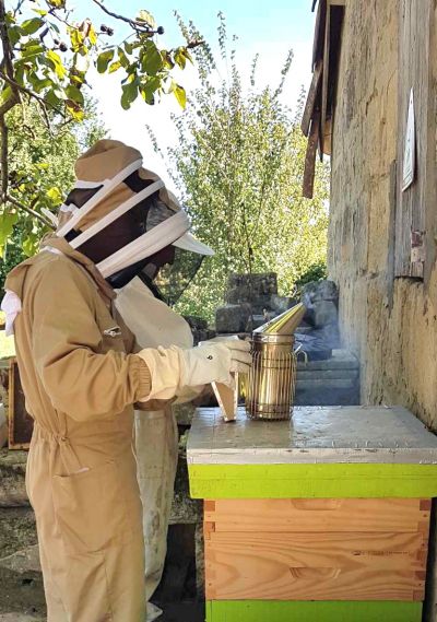 Beehive and honey