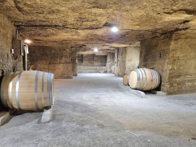Chateau Fleur de Roques Puisseguin Hotel Saint Emilion 8 1