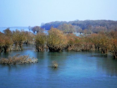 Lac de la forêt d'Orient