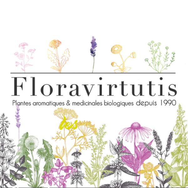 floravirtutis