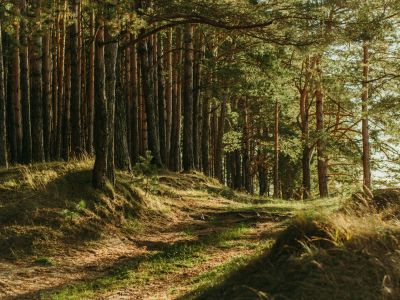 Nature et découverte