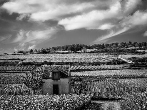 Route des vins de Bourgogne