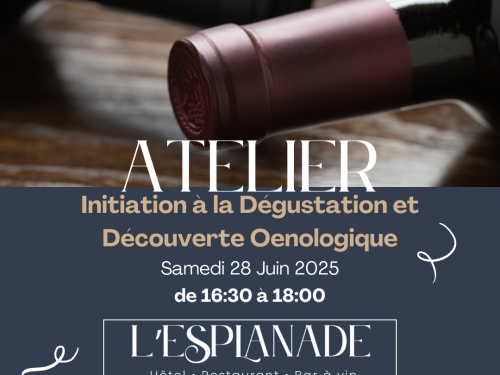 🍇 Atelier Œnologique : Initiation à la Dégustation et Découverte Œnologique🍷