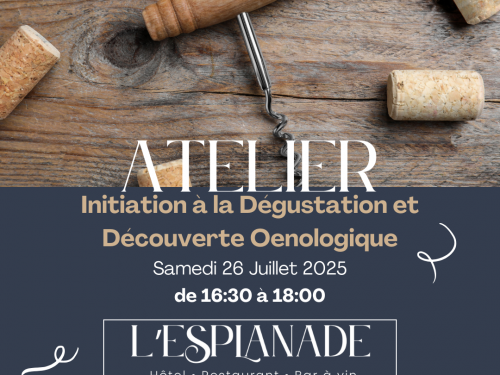 🍇 Atelier Œnologique : Initiation à la Dégustation et Découverte Œnologique🍷